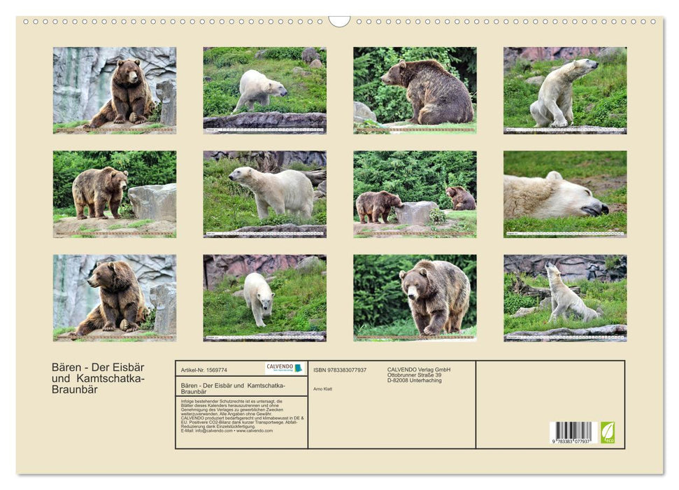 Bears - The polar bear and the Kamchatka brown bear (CALVENDO wall calendar 2024) 