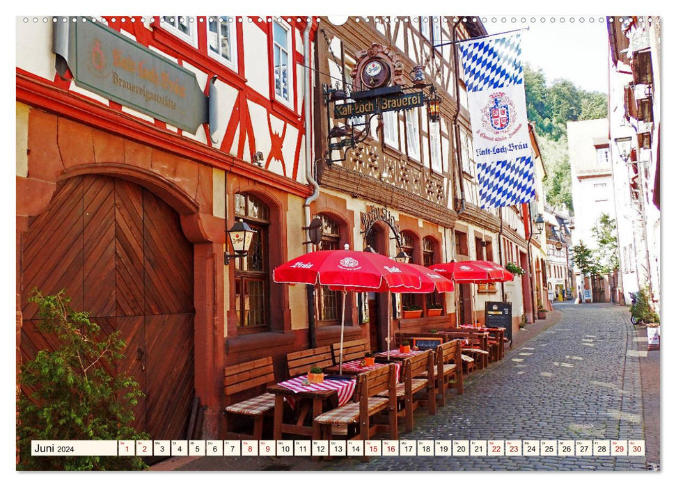Liebenswertes Miltenberg am Main (CALVENDO Premium Wandkalender 2024)