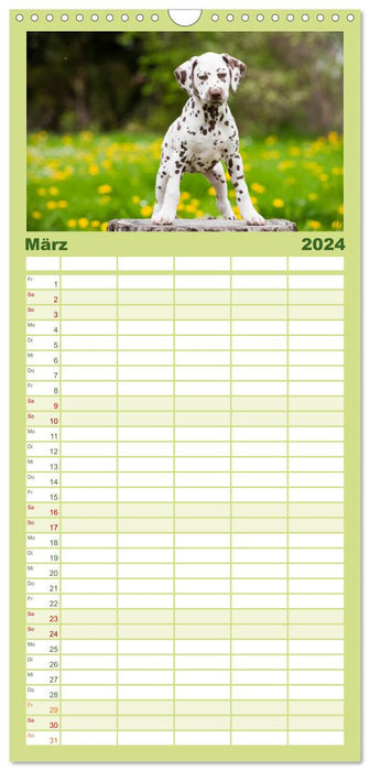 Dalmatien (Agenda familial CALVENDO 2024) 
