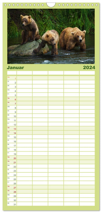 Le calendrier ours (Agenda familial CALVENDO 2024) 