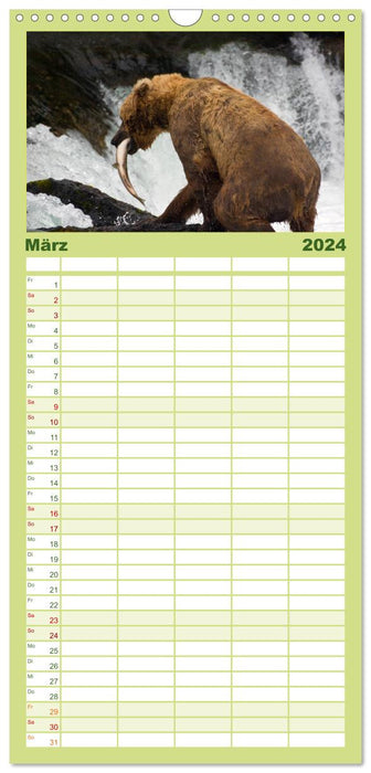 Der Bärenkalender (CALVENDO Familienplaner 2024)