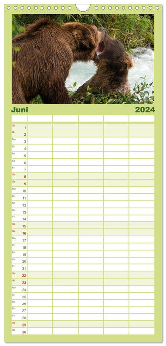 Le calendrier ours (Agenda familial CALVENDO 2024) 