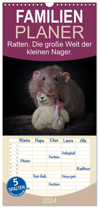 Les rats. Le grand monde des petits rongeurs (Agenda familial CALVENDO 2024) 