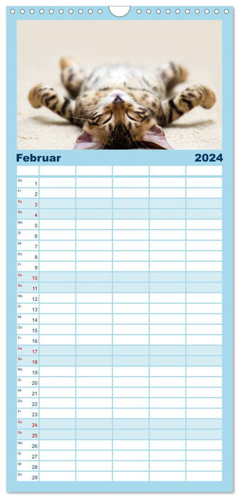 Der "philosophische" Katzenkalender 2024 (CALVENDO Familienplaner 2024)