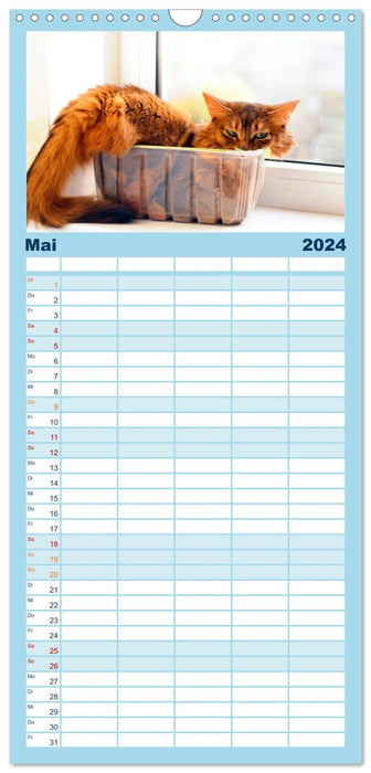 Le calendrier chat "philosophique" 2024 (Agenda familial CALVENDO 2024) 