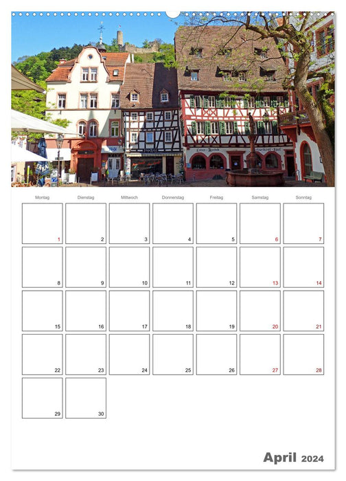 Weinheim an der Bergstraße Planer (CALVENDO Premium Wandkalender 2024)