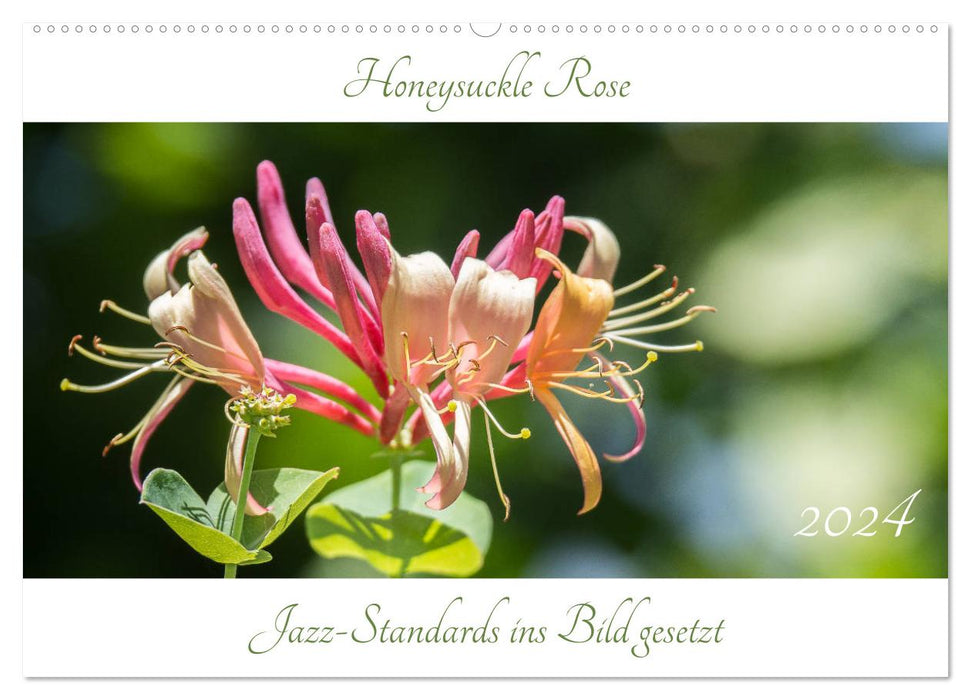 Honeysuckle Rose - Jazz-Standards ins Bild gesetzt (CALVENDO Wandkalender 2024)