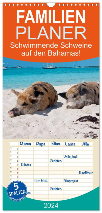 Des cochons nageurs aux Bahamas ! (Agenda familial CALVENDO 2024) 