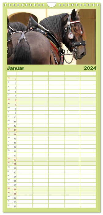 Schwere Pferde (CALVENDO Familienplaner 2024)