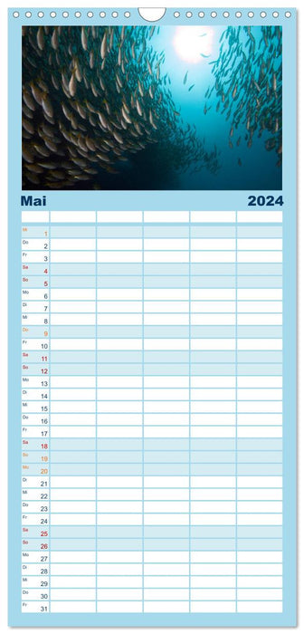 Tauchen, Fische und Meer (CALVENDO Familienplaner 2024)