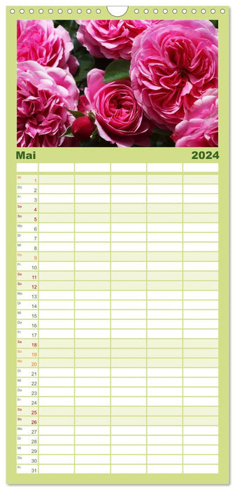 Des roses dans le jardin (Agenda familial CALVENDO 2024) 