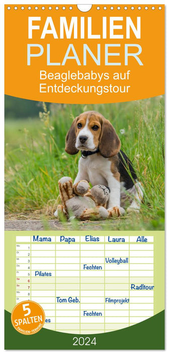 Bébés Beagle en voyage découverte (Agenda familial CALVENDO 2024) 