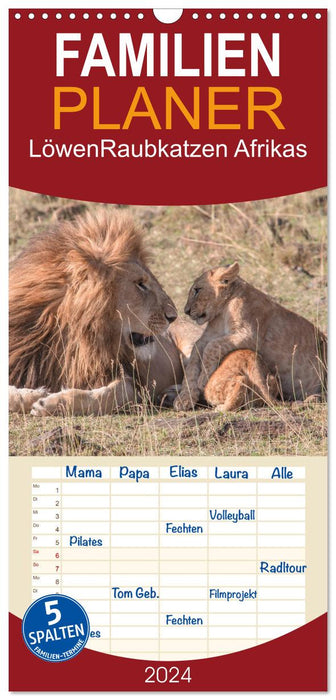 Lions - Grands Félins d'Afrique (Agenda familial CALVENDO 2024) 