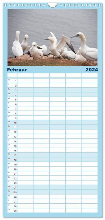 Helgoland - idyllische Nordseeinsel (CALVENDO Familienplaner 2024)