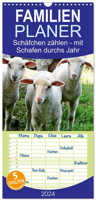 Compter les moutons - avec des moutons toute l'année (Agenda familial CALVENDO 2024) 