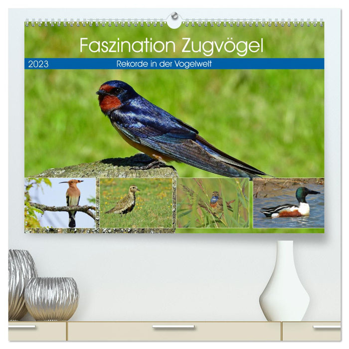 Fascination with migratory birds - records in the bird world (CALVENDO Premium Wall Calendar 2024) 