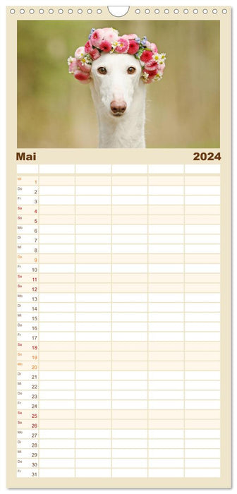 Zauberhafte Windhunde (CALVENDO Familienplaner 2024)