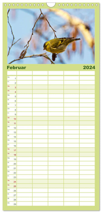 Oiseaux locaux (Agenda familial CALVENDO 2024) 