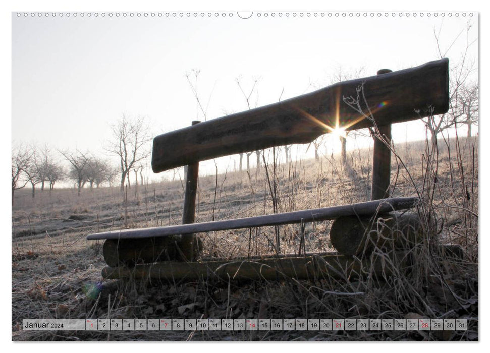 The good old wooden bench (CALVENDO Premium Wall Calendar 2024) 