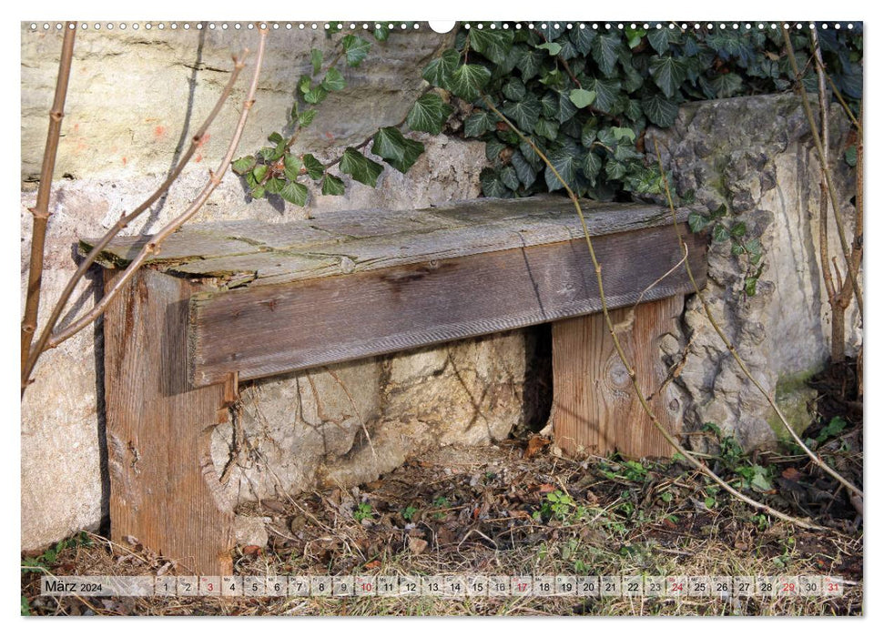 Die gute alte Holzbank (CALVENDO Premium Wandkalender 2024)