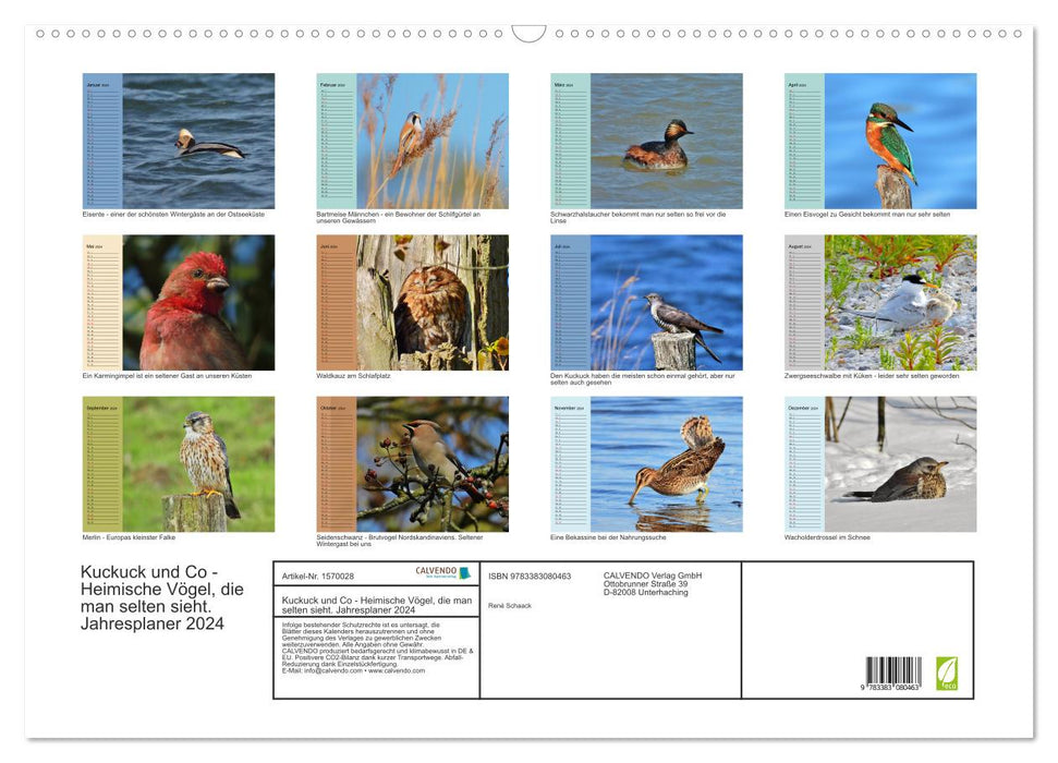 Cuckoo and co - native birds that are rarely seen - annual planner 2024 (CALVENDO wall calendar 2024) 