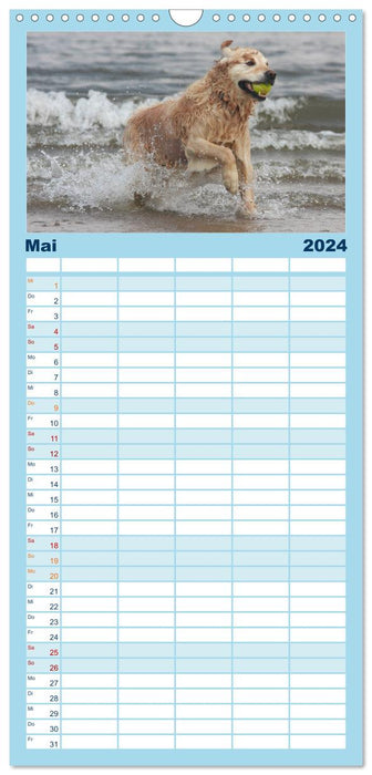 Nager avec des chiens - du plaisir pour les hommes et les chiens (Planificateur familial CALVENDO 2024) 