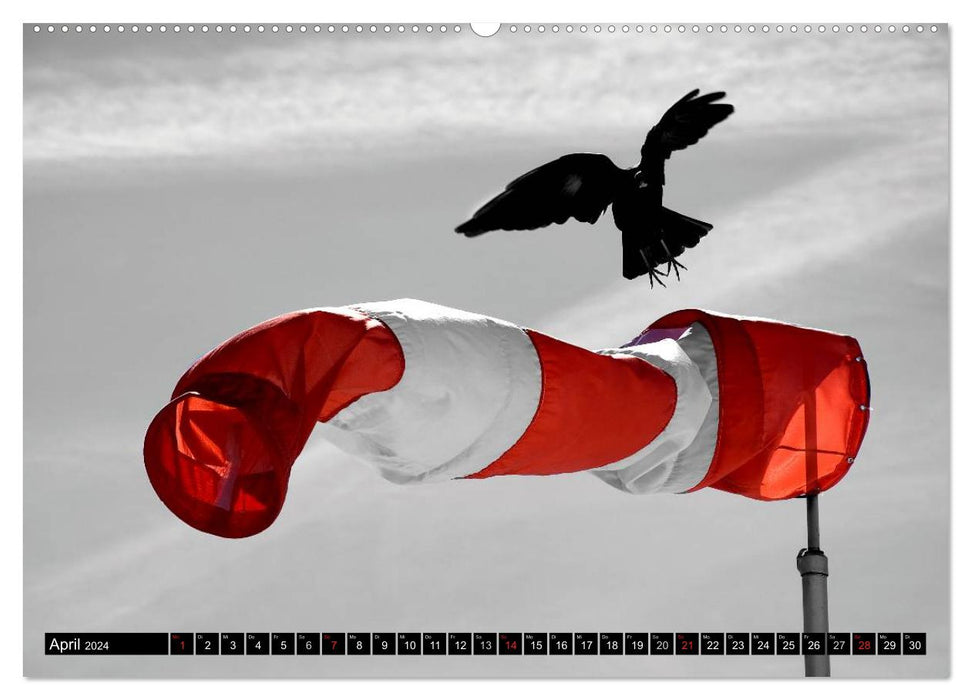 Black - White - Red (CALVENDO Premium Wall Calendar 2024) 