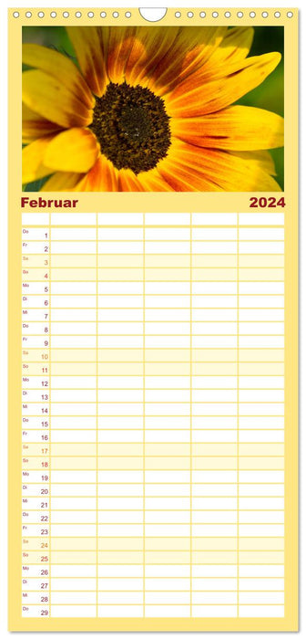 Zeit für Sonnenblumen (CALVENDO Familienplaner 2024)