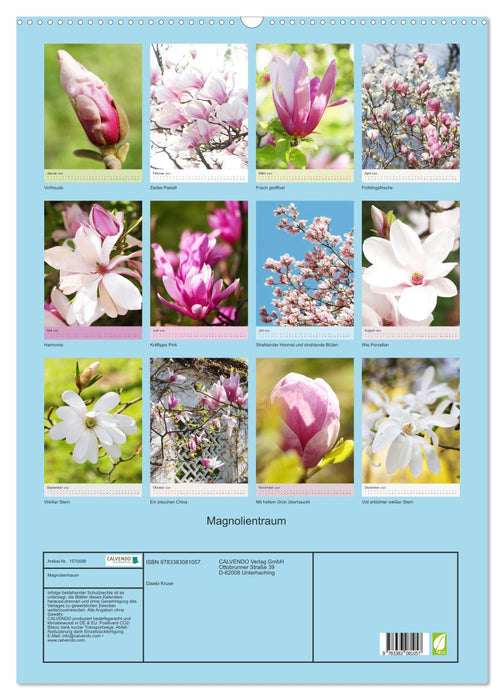 Magnolia dream (CALVENDO wall calendar 2024) 