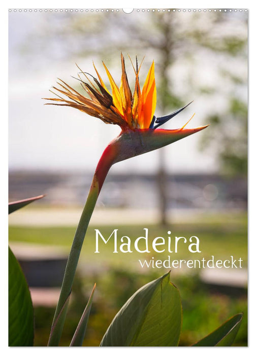 Madeira - wiederentdeckt (CALVENDO Wandkalender 2024)