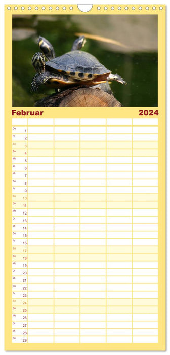 Schildkröten - Gepanzerte Urzeitwesen (CALVENDO Familienplaner 2024)