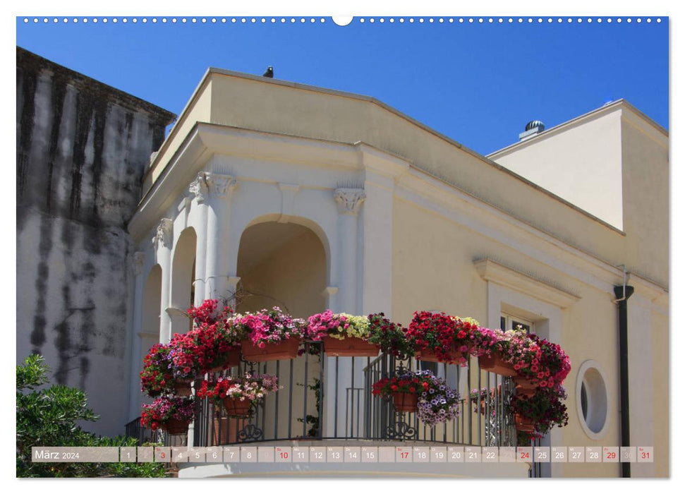 Altstadt Bari Vecchia (CALVENDO Premium Wandkalender 2024)