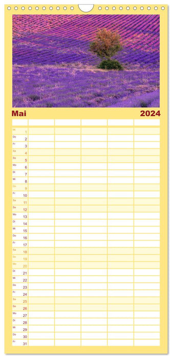 Provence, Lavendelzeit in Südfrankreich (CALVENDO Familienplaner 2024)