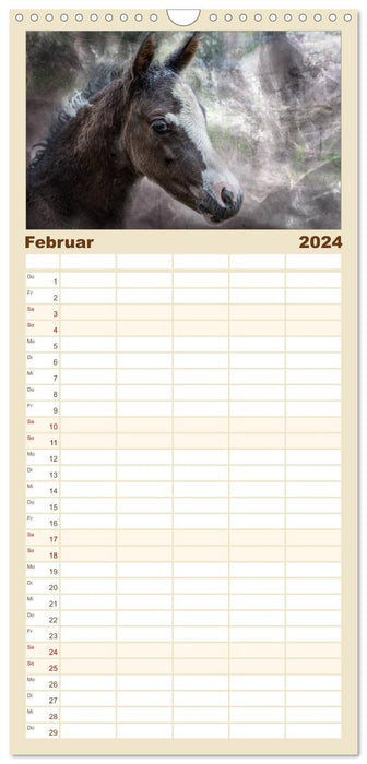 Des chevaux qui font rêver (Agenda familial CALVENDO 2024) 