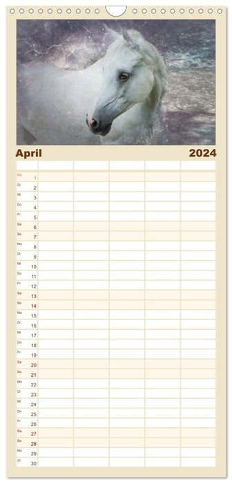 Des chevaux qui font rêver (Agenda familial CALVENDO 2024) 