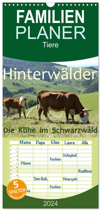 Hinterwälder - Die Kühe aus dem Schwarzwald (CALVENDO Familienplaner 2024)