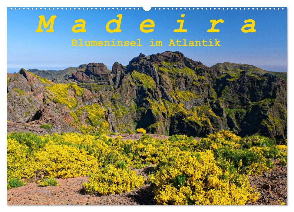 Île aux fleurs de Madère dans l'Atlantique (calendrier mural CALVENDO 2024) 