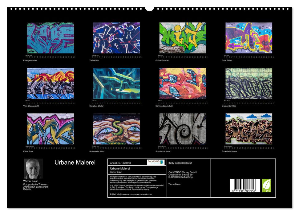 Peinture urbaine (Calendrier mural CALVENDO Premium 2024) 