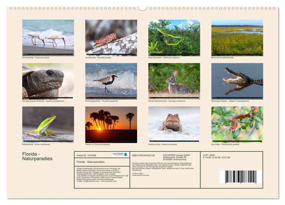 FLORIDA - Naturparadies (CALVENDO Premium Wandkalender 2024)