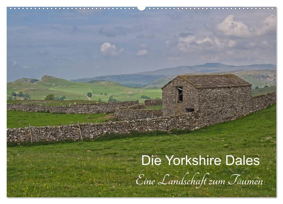 Yorkshire Dales, un paysage qui fait rêver (Calendrier mural CALVENDO 2024) 