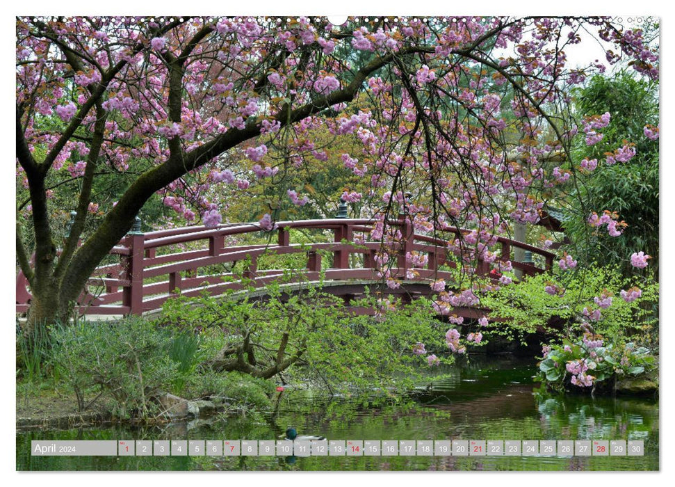 Fernöstlicher Zauber Japanischer Garten Leverkusen (CALVENDO Wandkalender 2024)