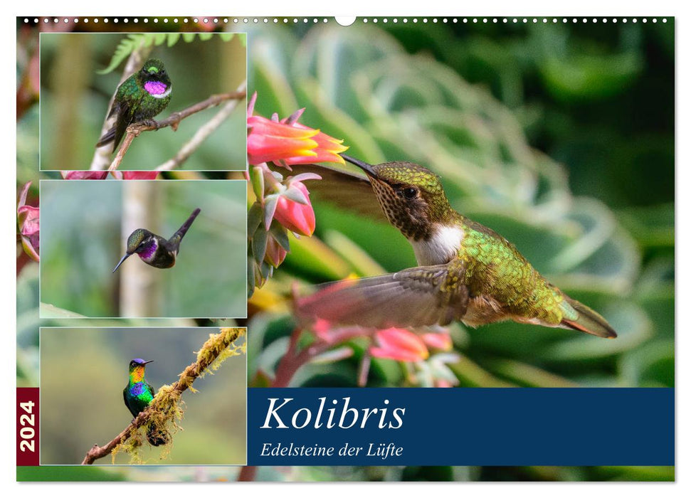 Kolibris - Edelsteine der Lüfte (CALVENDO Wandkalender 2024)