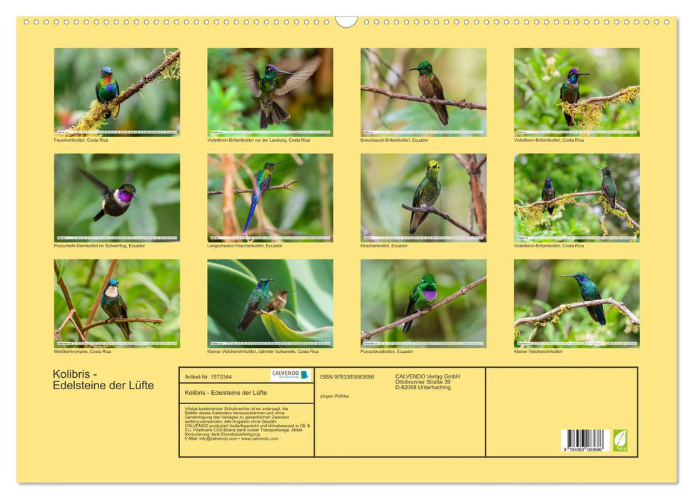 Kolibris - Edelsteine der Lüfte (CALVENDO Wandkalender 2024)