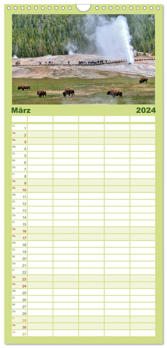 TATONKA Der nordamerikanische Bison (CALVENDO Familienplaner 2024)