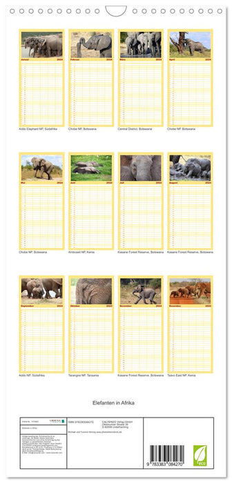 Elefanten in Afrika (CALVENDO Familienplaner 2024)