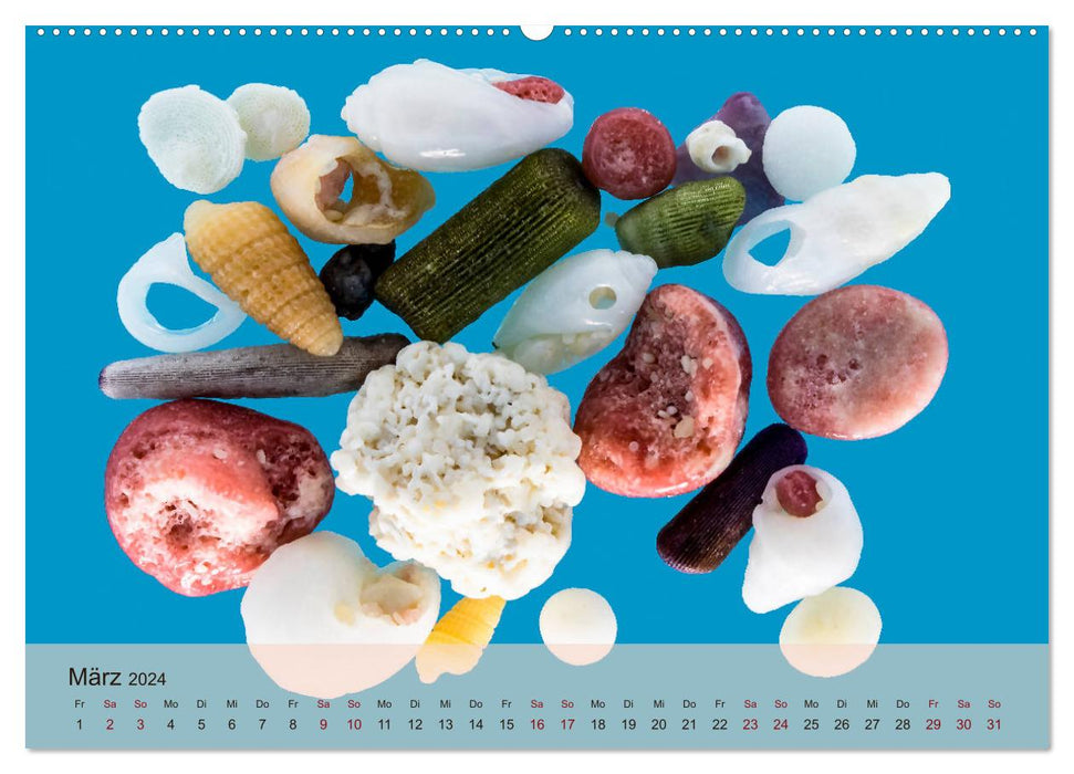 rosaroter korallensand (CALVENDO Premium Wandkalender 2024)