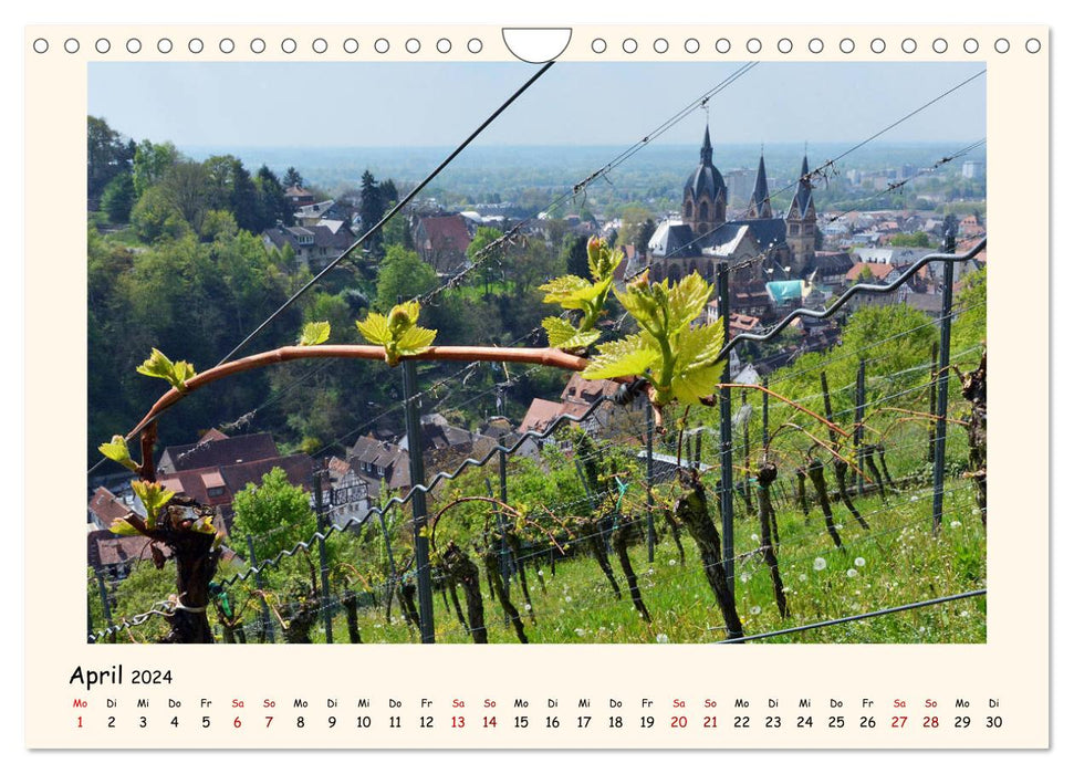 Weinlandschaft - Heppenheim an der Bergstraße (CALVENDO Wandkalender 2024)