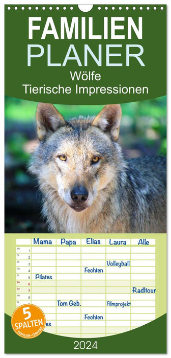 Wölfe - Tierische Impressionen (CALVENDO Familienplaner 2024)