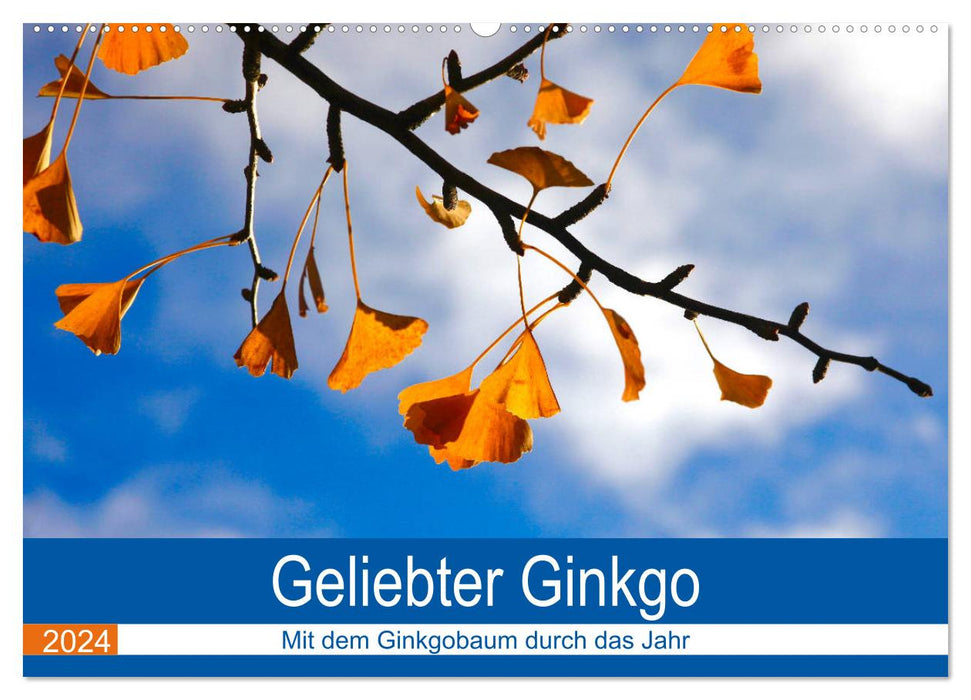 Geliebter Ginkgo (CALVENDO Wandkalender 2024)