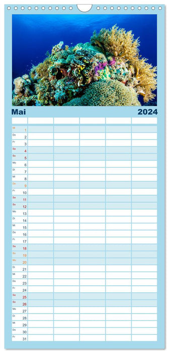 Korallen-Riffe Taucherträume (CALVENDO Familienplaner 2024)
